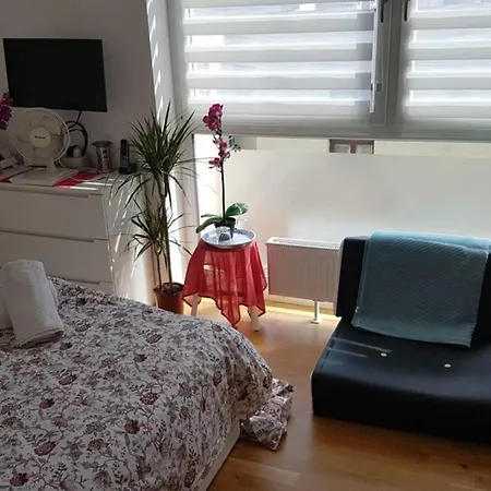 Mini In Fairy-tale City! Apartament Heidelberg